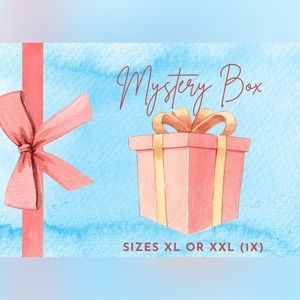 Mystery Box: in Size XL or XXL/1x